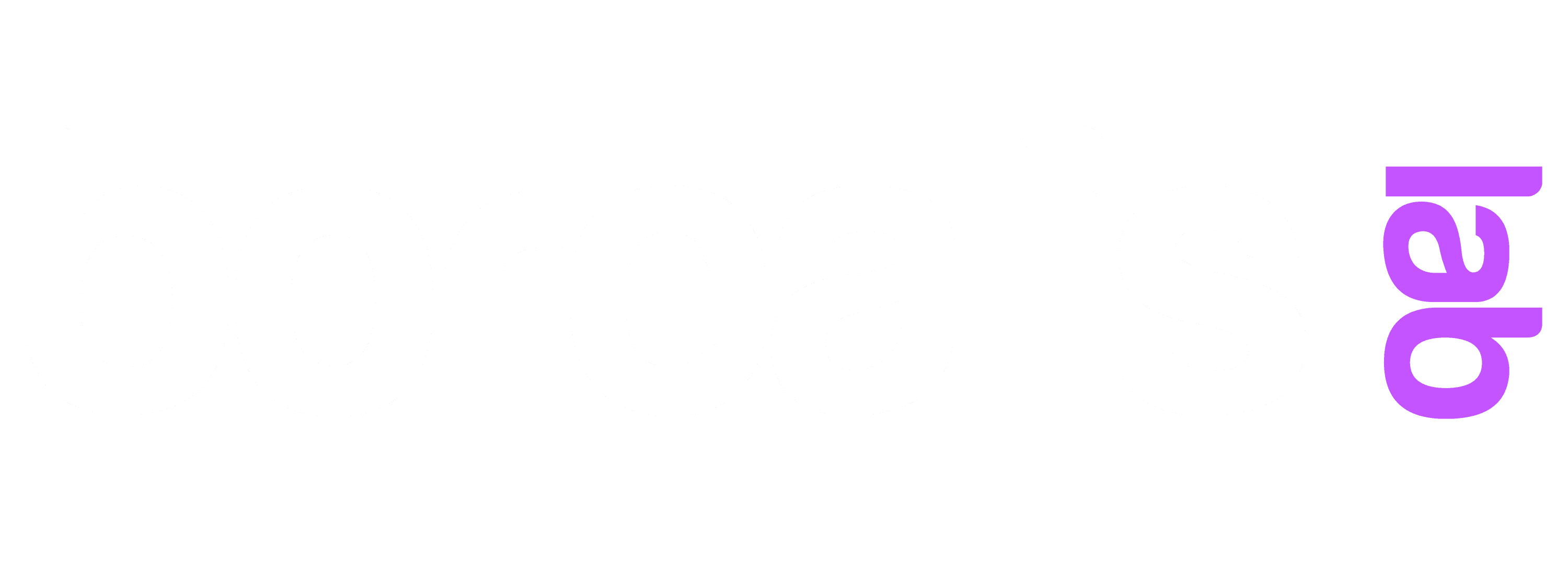 Borealis Lab Logo